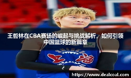 王哲林在CBA赛场的崛起与挑战解析，如何引领中国篮球的新篇章